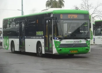 צעיר חרדי חטף אגרוף בפנים מנהג אוטובוס של ‘אפיקים’ בבני ברק