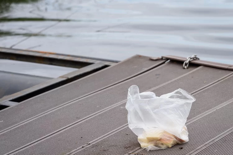 אם שכחנו פיתה או לחם בבית: האם צריך לשרוף או לזרוק לפח?