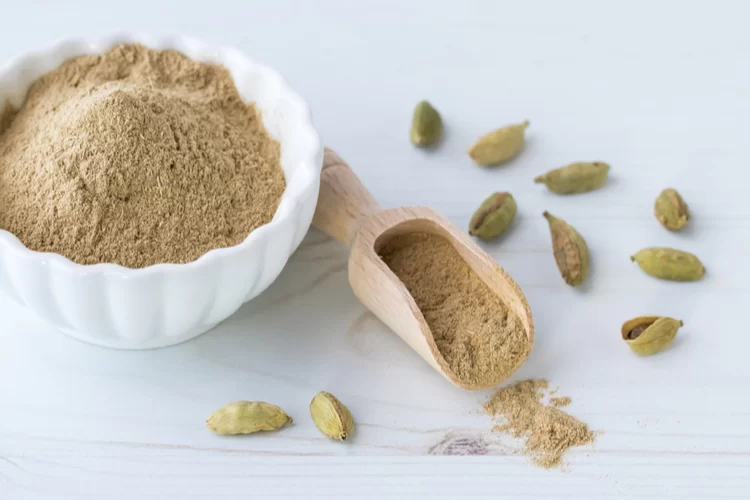 הלב רועד: אלו הן יכולותיו האדירות של הצמח הזה הלב רועד: אלו הן יכולותיו האדירות של הצמח הזה