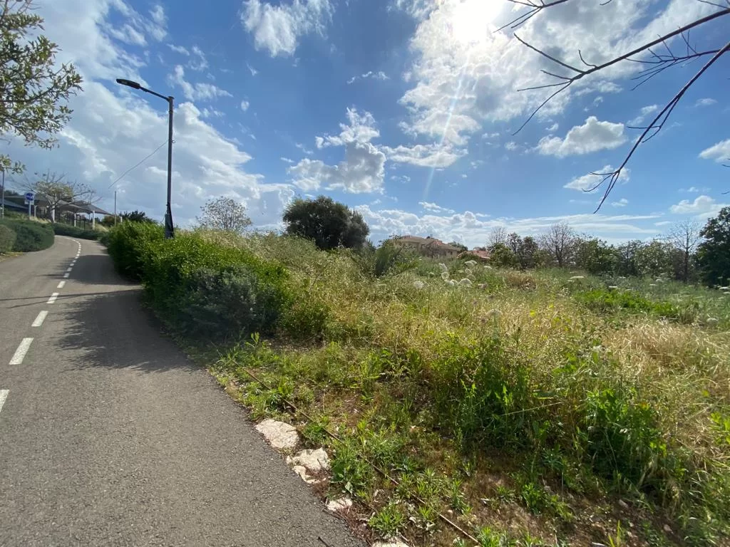  נאה, וחם מהרגיל: תחזית מזג האוויר לאסרו חג ולהמשך השבוע