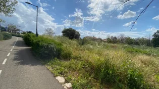 נאה, וחם מהרגיל: תחזית מזג האוויר לאסרו חג ולהמשך השבוע