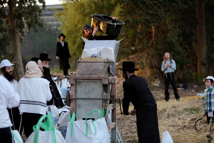 מה אכלו היהודים בימי הביניים? מחקר חדש מגלה