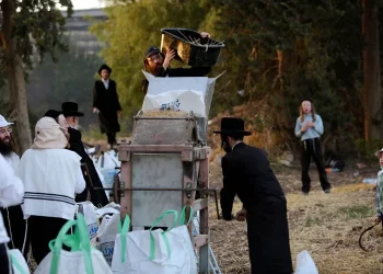 מה אכלו היהודים בימי הביניים? מחקר חדש מגלה