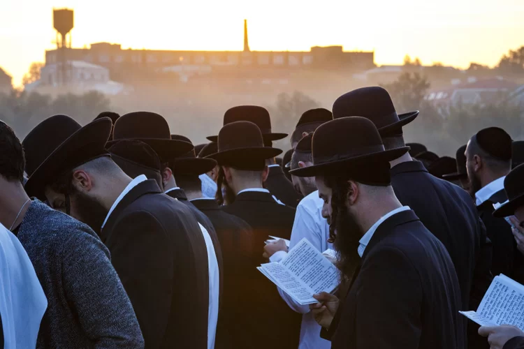 הילולת הפרי מגדים: עובדות וסיפורים מרתקים