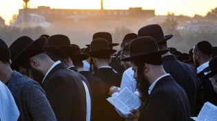 הילולת הפרי מגדים: עובדות וסיפורים מרתקים
