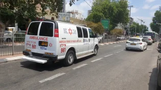 "אפילו נחש כרוך על עקבו" - ברחבת בית הכנסת: נחש צפע הכיש את המתפלל