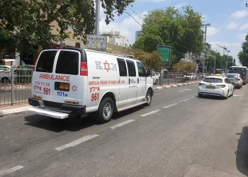 "אפילו נחש כרוך על עקבו" - ברחבת בית הכנסת: נחש צפע הכיש את המתפלל