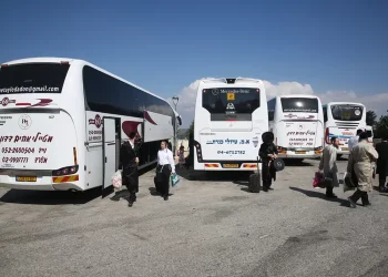 כך תבוצע הסעת מאות אלפי חוגגים להילולת הרשב"י במירון