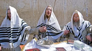 "יש בפרשה זו יסודות תורה רבים": פרשת אחרי מות - קדושים והמצוות החשובות