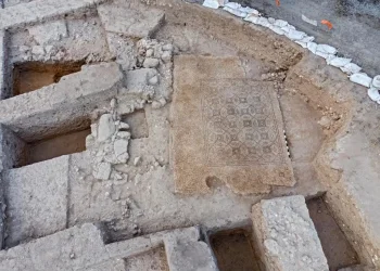 פסיפס מרשים בן 1600 שנה: התגלה בחפירה בבית ביבנה