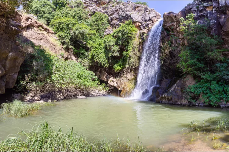 רשות הטבע והגנים נחרצים: נאשר רחצה נפרדת אצלנו