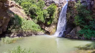 רשות הטבע והגנים נחרצים: נאשר רחצה נפרדת אצלנו