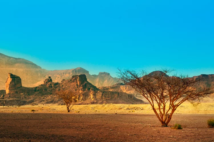 ירידה בטמפ’; גל חום בדרך | תחזית מזג אוויר