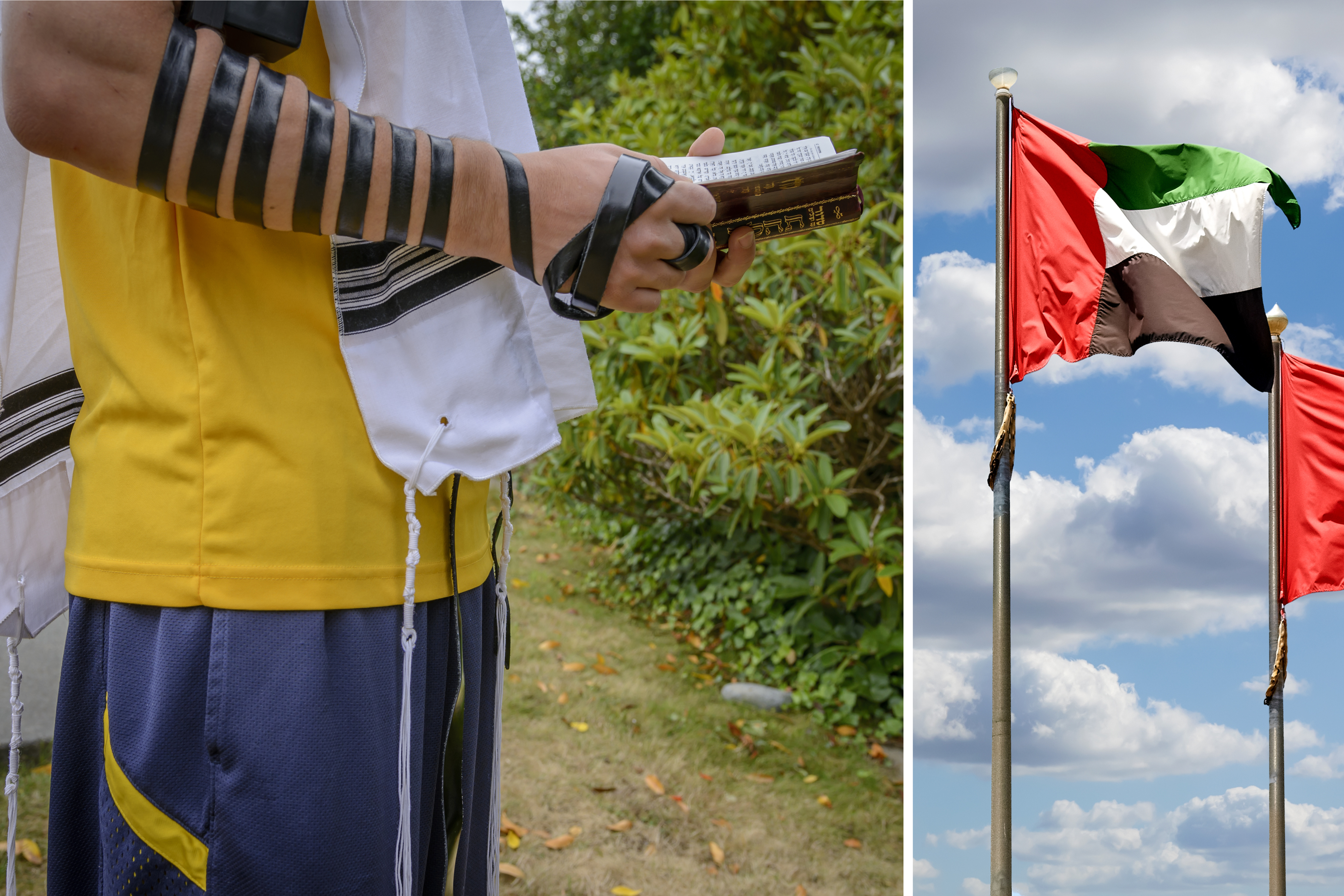 "וגם אל הנוכרי אשר בא מארץ רחוקה": התיעוד של התייר מדובאי "וגם אל הנוכרי אשר בא מארץ רחוקה": התיעוד של התייר מדובאי