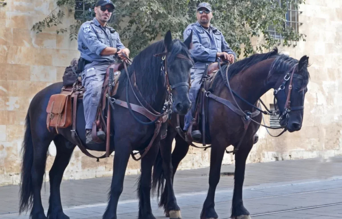 הפקת לקחים ממירון: היערכות משטרת ישראל להילולת שמואל הנביא הערב ומחר