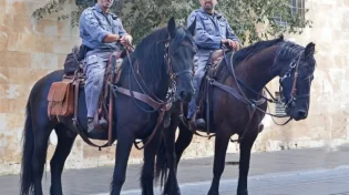 הפקת לקחים ממירון: היערכות משטרת ישראל להילולת שמואל הנביא הערב ומחר