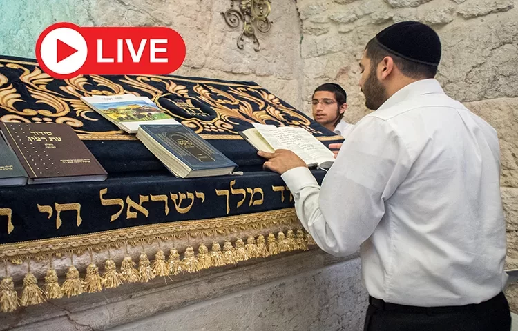 ערוץ 2000 בשידור חי מהילולת דוד המלך ע"ה בציונו הקדוש הר ציון ירושלים ערוץ 2000 בשידור חי מהילולת דוד המלך ע"ה בציונו הקדוש הר ציון ירושלים