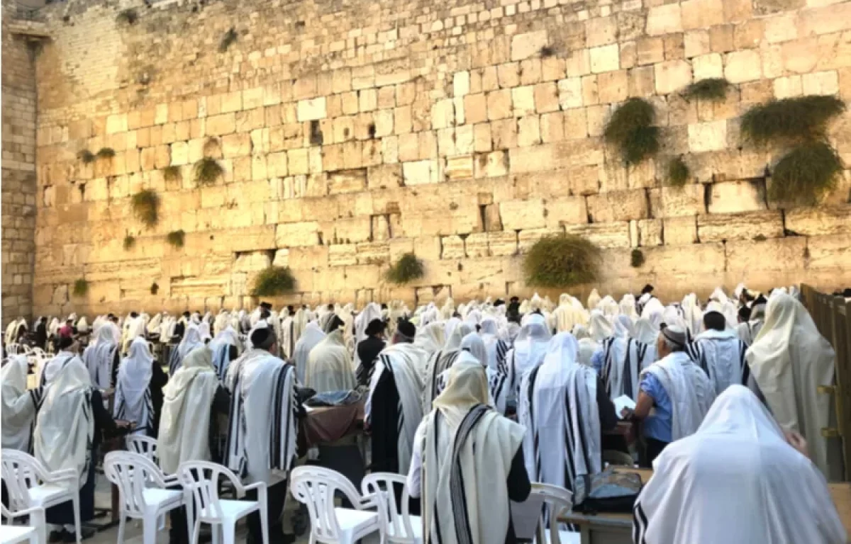 סגולה בדוקה מהפרשה: אמירת ברכת כוהנים לפני השינה