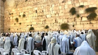 סגולה בדוקה מהפרשה: אמירת ברכת כוהנים לפני השינה