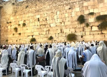 סגולה בדוקה מהפרשה: אמירת ברכת כוהנים לפני השינה