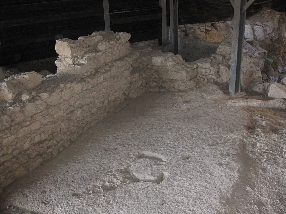 נפטרה הארכיאולוגית שחשפה את הארמון של דוד המלך נפטרה הארכיאולוגית שחשפה את הארמון של דוד המלך