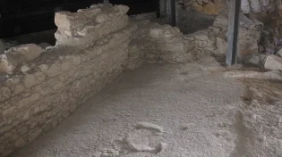 נפטרה הארכיאולוגית שחשפה את הארמון של דוד המלך