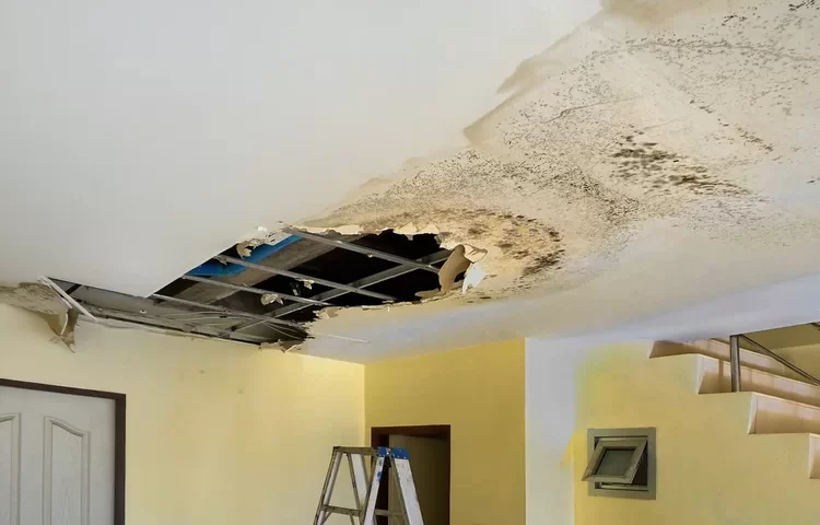 מקרה חריג במיוחד: גוש קרח ענק נפל מהשמיים ונחת באמצע חדר השינה מקרה חריג במיוחד: גוש קרח ענק נפל מהשמיים ונחת באמצע חדר השינה