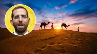 "ונהיה בעינינו כחגבים" - חטא המרגלים הוא חוסר בביטחון עצמי