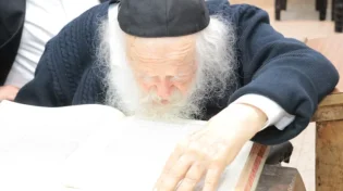 הגר"ח קנייבסקי מגיב בעניין הפאות בימינו | צפו