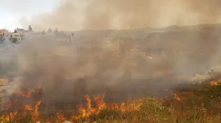 30 צוותי כיבוי הוזעקו לשריפת ענק בהרי ירושלים - ללא שליטה