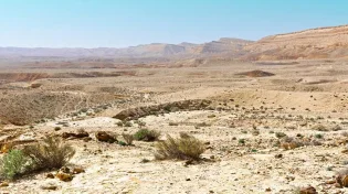 אנחנו עדיין בגלות