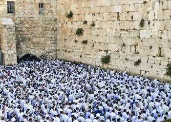 כנגד חגיגות הרפורמים: קריאה לח"כ החרדיים להגיע לתפילה בכותל