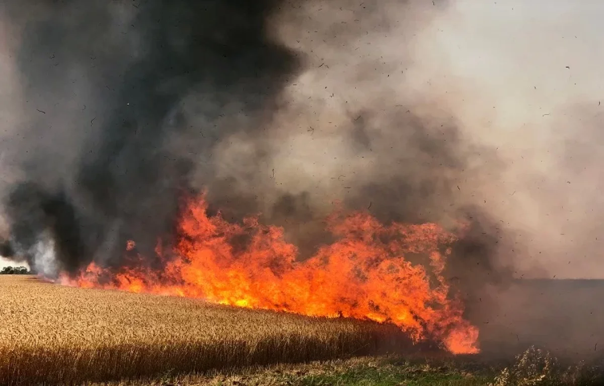 טרור הבלונים: ארבע שריפות משתוללות בדרום הארץ