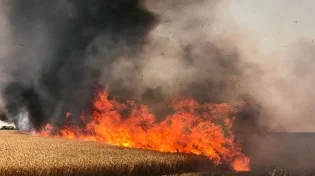 טרור הבלונים: ארבע שריפות משתוללות בדרום הארץ