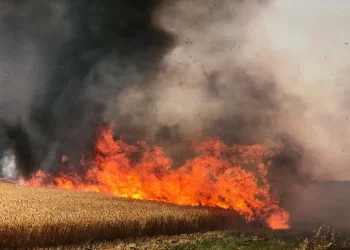 טרור הבלונים: ארבע שריפות משתוללות בדרום הארץ