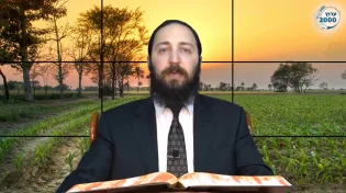 דף יומי: הדף היומי לצפייה - יומא י"ז - ט"ז אייר: הרב אקרב