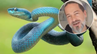 נס מעל הטבע: "כל מי שיסתכל על הנחש יתרפא"