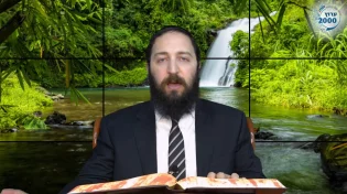 דף יומי: הדף היומי לצפייה - יומא כ"ט - כ"ח אייר: הרב אקרב