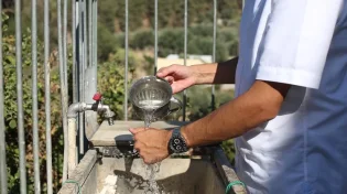האם מותר ליטול ידיים בשירותים? הראשל"צ הגאון יצחק יוסף משיב