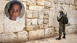 הילד ששבר את הרשת: "זה מה שיציל את החיים שלנו"