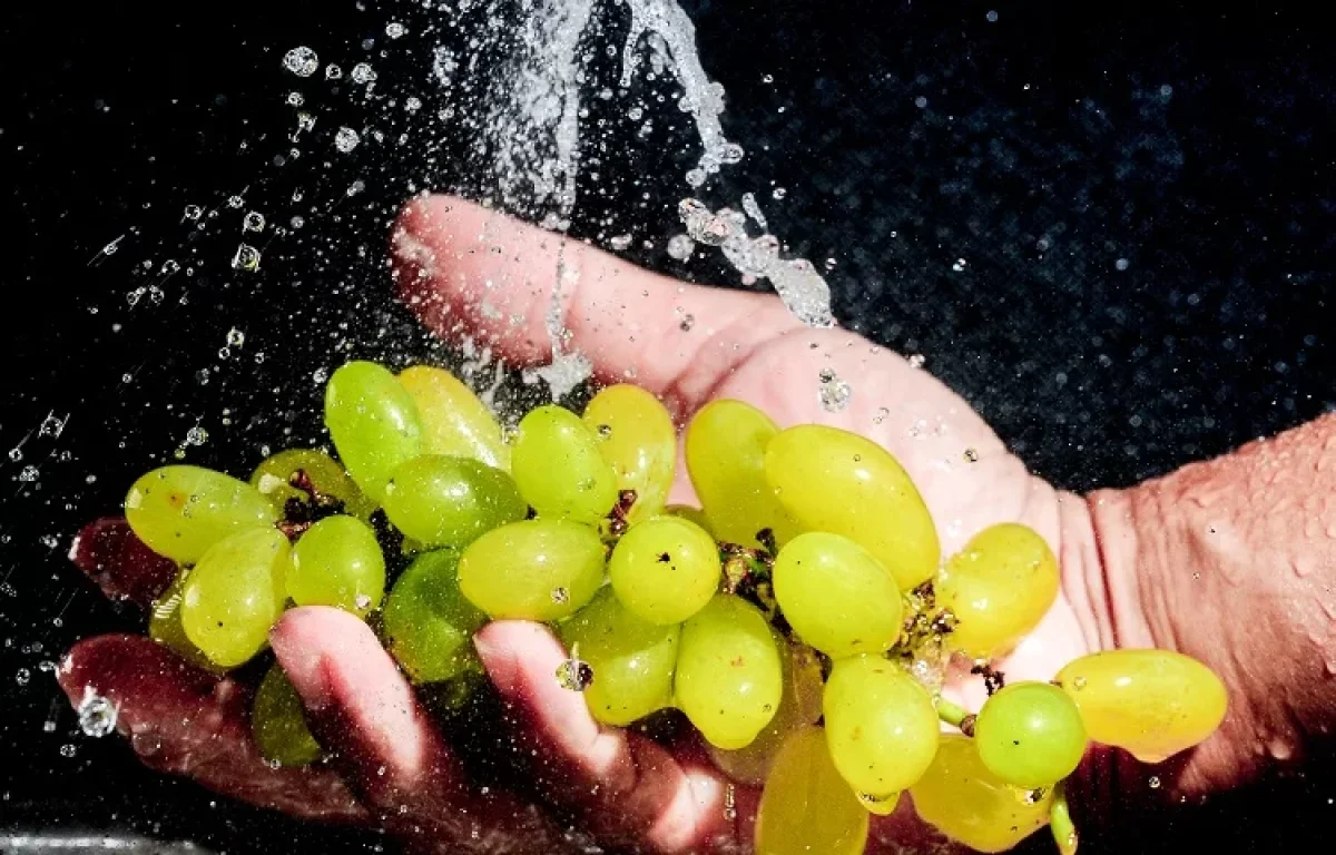 מה מברכים על ענבים ירוקים? ברכה על ענבים ירוקים