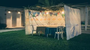 מתחילים מסכת סוכה בדף היומי: וסגולותיה?