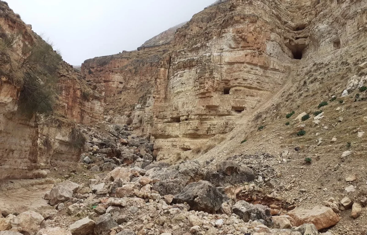 מטבעות נדירים מימי מרידות היהודים ברומאים נמצאו בבנימין