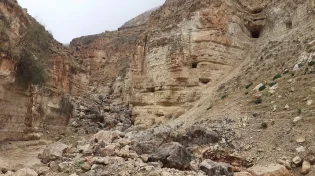 מטבעות נדירים מימי מרידות היהודים ברומאים נמצאו בבנימין