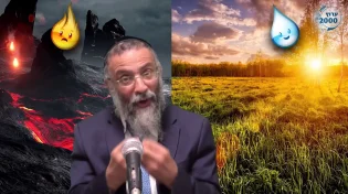 מי בחנה את הרב לסרי? "נראה אם אתה יכול לפתור בעיות בזוגיות"