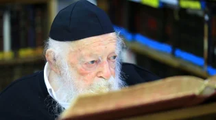 שו"ת הלכות אבלות עם שר התורה - הגר"ח קנייבסקי