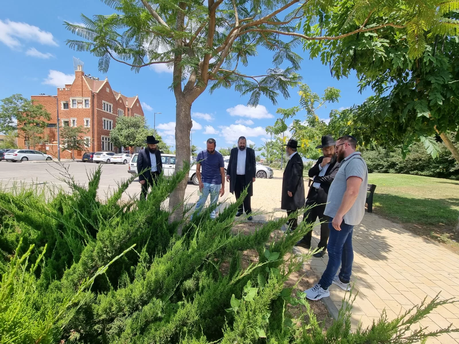 השביעית בפתח: כפר חב"ד נערך לשמיטה בשטחים הציבוריים