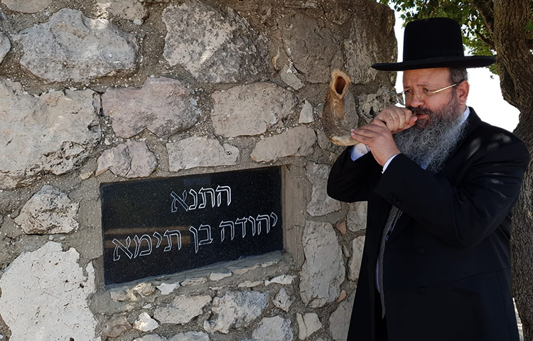 הסגולה הממריצה: כך תהיו זריזים בעבודת השם הסגולה הממריצה: כך תהיו זריזים בעבודת השם