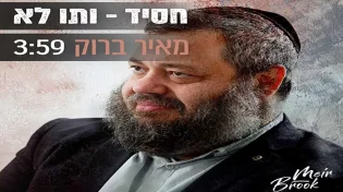מאיר ברוק - חסיד ותו לא