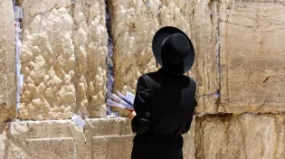 תשובתו המפתיעה של הסטייפלר לבחור שלא מסוגל ללמוד
